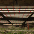 Melhor planta LED cultivar lâmpada kits de tenda